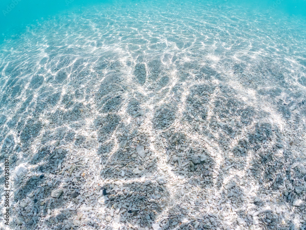 Fototapeta premium 美しいサンゴの欠片の白砂の水底。 美しいサンゴ礁と熱帯魚の群れ。 安室島沖縄県 島尻郡慶良間諸島座間味島-2025 サンゴの産卵があり卵が漂う。沖縄本島から40km西方の諸島。30以上の島嶼群全体が国立公園に指定。珊瑚礁の青い海と白い砂浜は世界屈指の美。貴重な動植物が多数生息。 