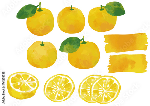 水彩風 柚子のイラストセット2（葉っぱ付きあり）Winter Fruits Series:Watercolor style Yuzu illustration set (with leaves)