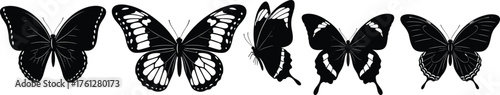 Silhouettes of Five Butterflies with Unique Wing Shapes and Patterns, Calm Mood, One-Panel Insect Diversity Vector Scene