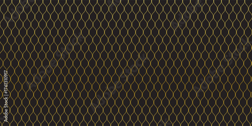 Luxury Gold Line Abstract Pattern on Black Background.Eps10
