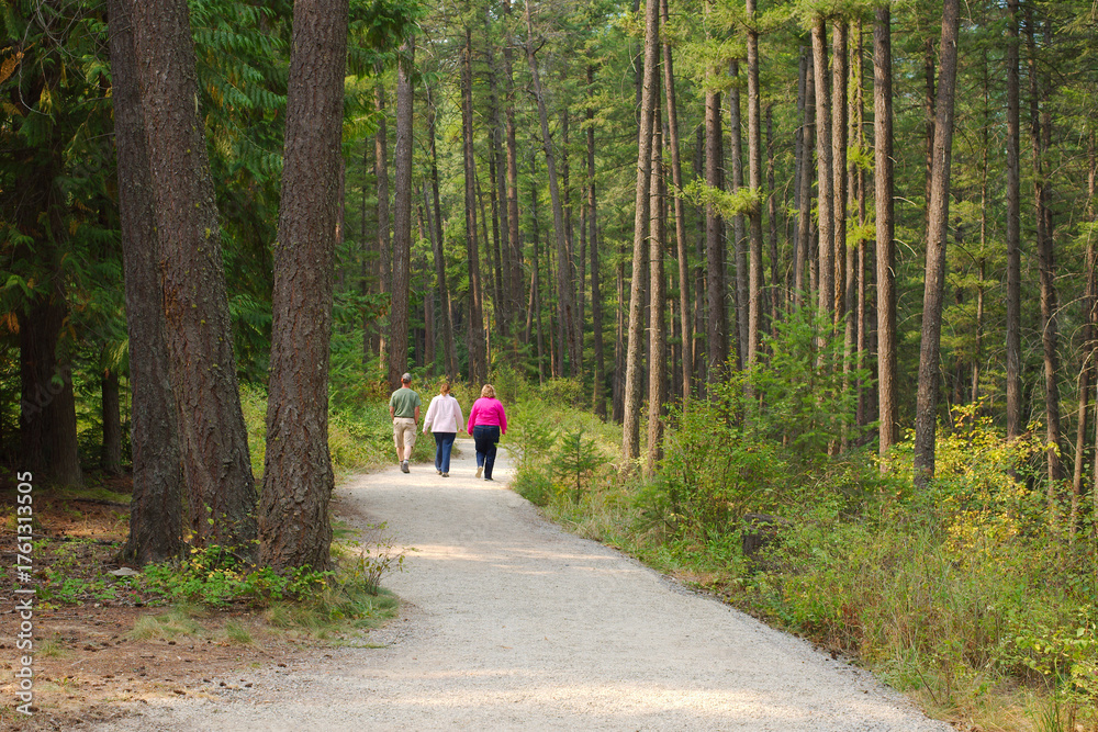 Obraz premium Three People Walking Along a gravel Forest Trail Creating Calm Nature Walk Through Sunlit Trees Kootenai National Forest in Montana. Surrounded by tall pines. A peaceful, natural scene that conveys to