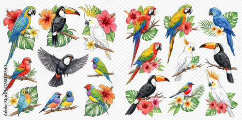 Vibrant watercolor illustration of various tropical birds including macaws, toucans, cockatoos, and finches, surrounded by exotic hibiscus flowers and lush green foliage.