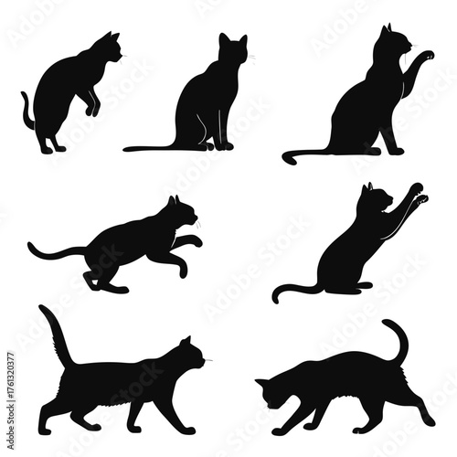 Collection of black cat silhouettes in various poses and actions on white background