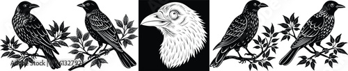 Intricate raven illustrations on branches, a touch of gothic darkness and natural allure for your next design project, beautifully vintage and timeless