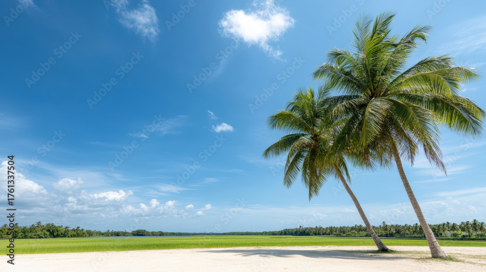 Fototapeta premium Lush palm trees beside vibrant green rice fields under clear blue sky create serene landscape