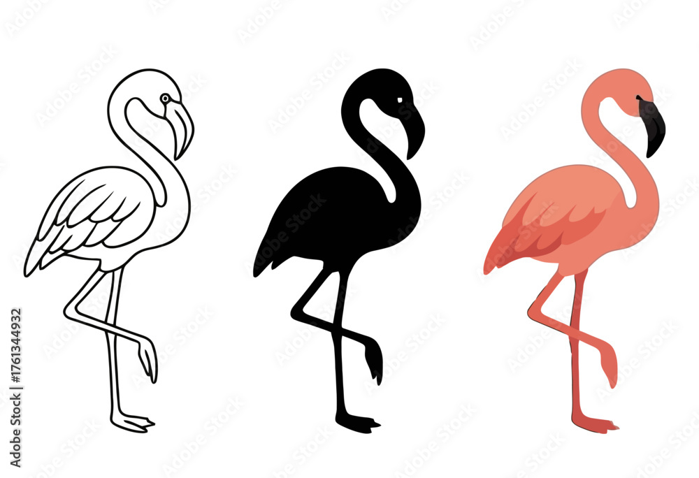 Obraz premium Vector Flamingo, 3 versions, outline, silhouette and colored