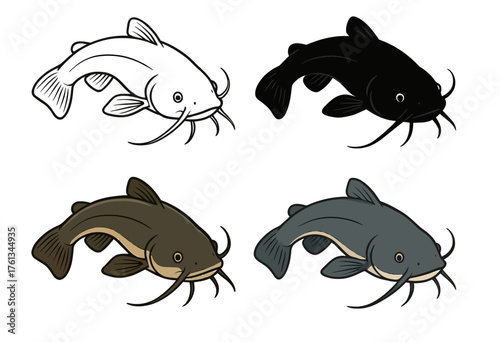 Vector Catfish, 3 versions, outline, silhouette and colored