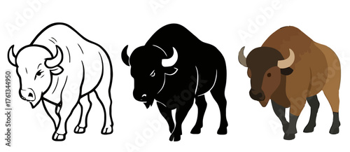 Vector buffalo, 3 versions, outline, silhouette and colored