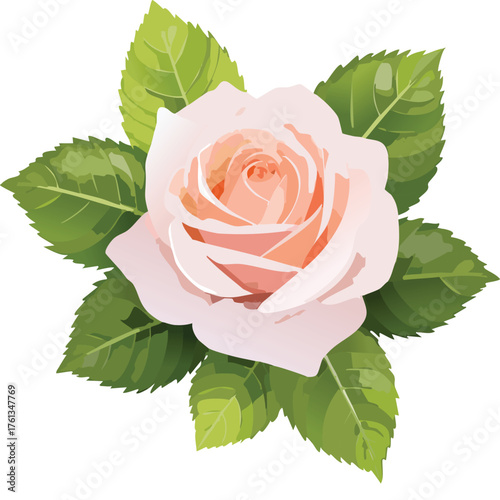 A light pink rose surrounded by green leaves art