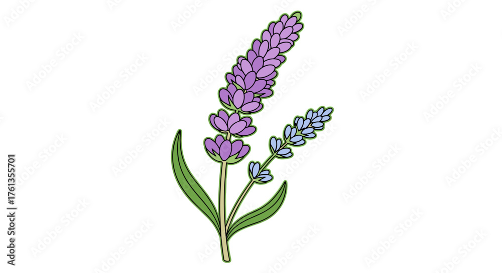 Obraz premium Lavender Sprigs Blooming in Artistic Hand-Drawn Illustration Style for Aromatherapy and Essential Oil Wellness, Herbal Remedy, Botanical Print, Natural Beauty, Healthcare Design Element, Serene Graphi