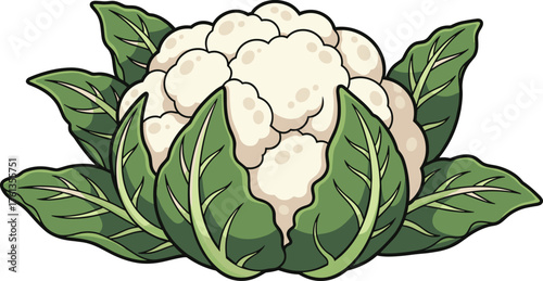Fresh Cauliflower Head with Vibrant Green Leaves, Isolated Culinary Ingredient for Healthy Eating, Agricultural Produce for Nutrition, Farm-to-Table Cooking, Wholesome Diet Illustration in Modern Cart