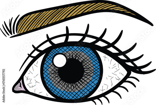 Detailed Eye Illustration with Expressive Lashes and Eyebrow in Artistic Style, Capturing Human Vision and Beauty for Fashion, Beauty, Healthcare, and Art Projects, Ideal for Cosmetic Advertising and