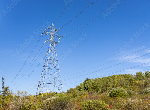 Huge steel electricity towers and power lines with trees and a blue sky in the background.