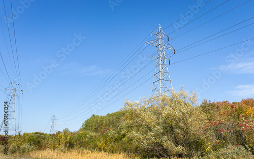 Huge steel electricity towers and power lines with trees and a blue sky in the background.