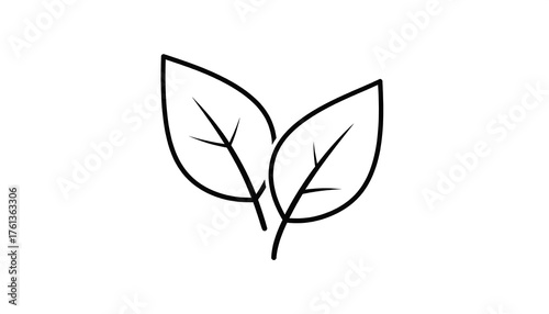 Simple Line Art Icon of Two Leaves.