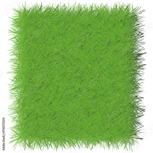 green grass frame . grass isolated on white background