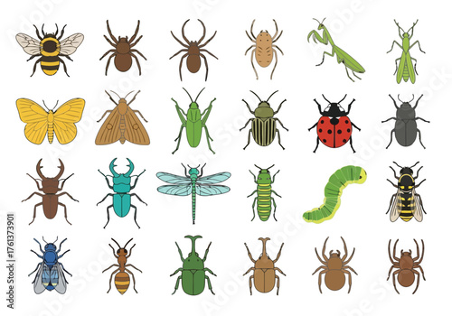 Vector illustration of collection of various insects and bugs