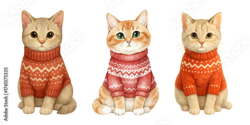 Cute Cats in Red Christmas Sweaters Watercolor Illustration, Cozy Winter Kitten Clipart PNG
