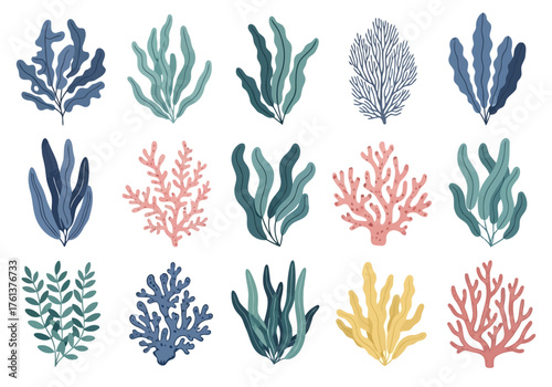 Vector illustration of collection of stylized underwater sea plants and coral