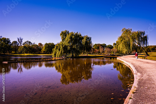 Scenic park landscape with a lake, trees, and a walking path on a sunny day