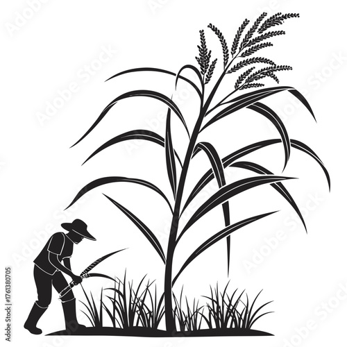 Farmer harvesting tall crops with a scythe in a field