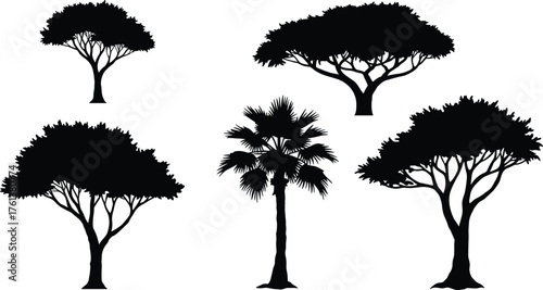 Tropical tree silhouettes collection, black acacia and palm tree shapes, nature vector illustration for design, logo, decoration, and eco art