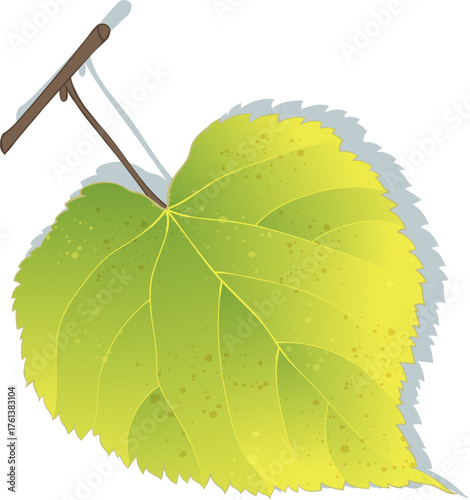 Hand-drawn green-yellow autumn linden leaf on transparent background. Flat and line style vector illustration. 