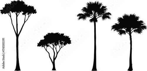 Tropical tree and palm silhouette collection, acacia and coconut tree vector set for design, logo, landscape, and nature art