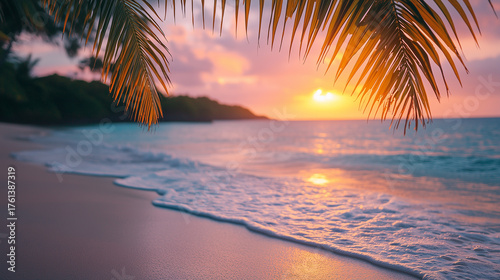 Sunset Through Palm Leaves on Vieques Island Beach