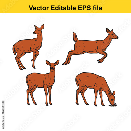 Vector art of set of four deer illustrations, each in a different pose, isolated on a