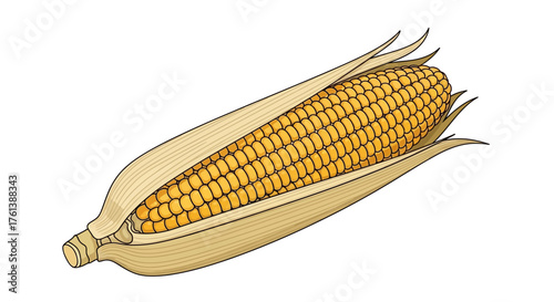 A detailed illustration of a ripe ear of corn with its husk partially peeled back, revealing the golden kernels.