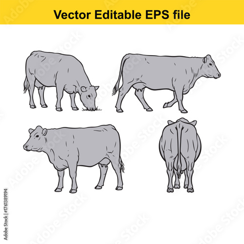 Vector art of four cows in different poses