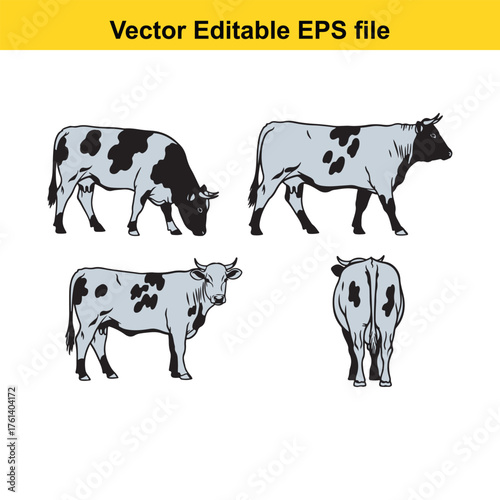 Vector art of four black and white spotted cows depicted in different stances