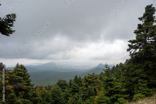 Photography Panoramic photo of a fir forest in the mountains  with a cloudy moody sky