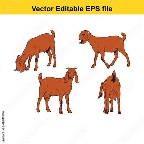 Vector art of four different poses of a brown goat shown from various angles