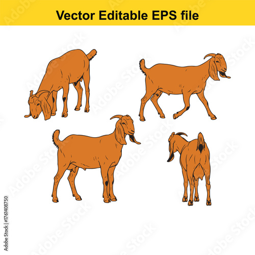 Vector art of collection of four brown goats in different positions and angles