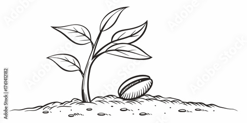 Vector illustration of a young plant sprouting from the ground next to a seed in black and white drawing