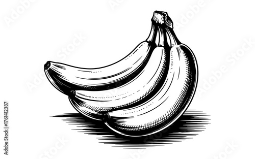 Monochrome hand-drawn bunch of bananas with fine shading and texture, emphasizing natural curves, depth, and artistic fruit detail.
