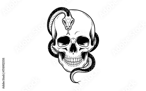 A skull with a snake coiled around it, symbolizing death, danger, wisdom, and the cycle of life.