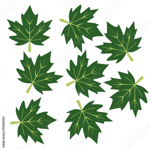 Japanese Papaya Leaf Pattern Background
