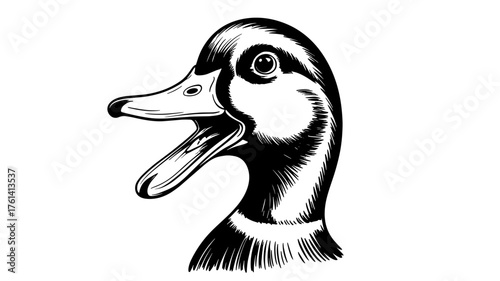 a duck’s head with its beak open, symbolizing wildlife, nature, communication, and expressive animal art.