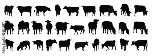 cow and calf silhouette set. cow and calf isolated farm animal silhouette icon vector collection