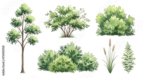 Lush Green Foliage Collection - Watercolor Illustrations of Trees, Bushes, and Plants.