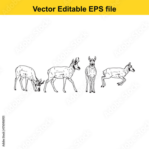 Vector art of set of four bears in different poses and colors