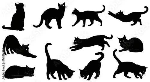 Set of Different Cat Silhouettes, Feline Poses and Actions Vector Art, Domestic Cat Jumping, Stretching, and Resting Figures