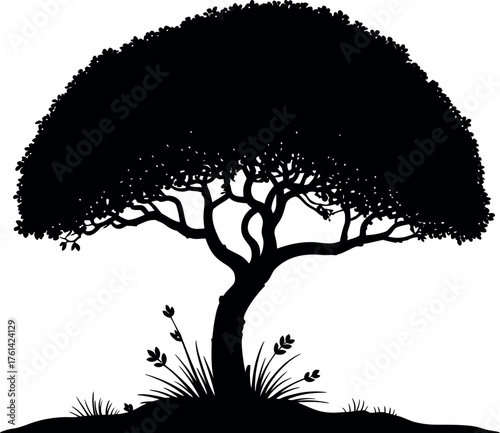 Black silhouette of a broad tree with grass canopy