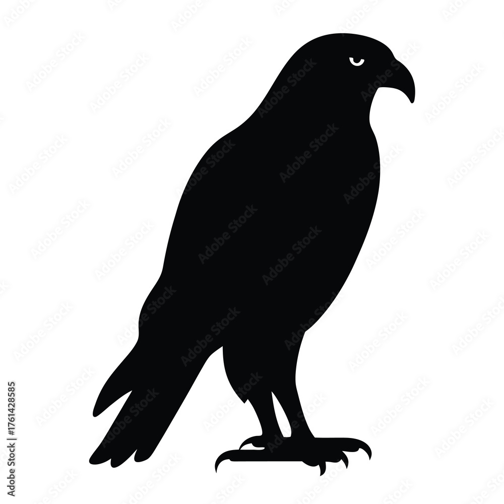 Fototapeta premium Black silhouette of a fierce looking eagle or hawk on white background