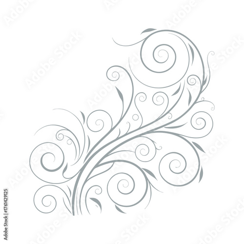 Grey Floral Swirls and Vines Decorative Element on White Background vector illustration