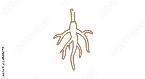An illustration of a root system with a stem, depicted in a minimalist, linear style with a brown outline.
