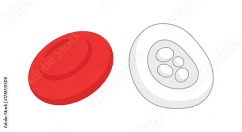 Illustration depicting a red blood cell and a white blood cell, side by side.